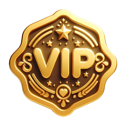 VIP Experience